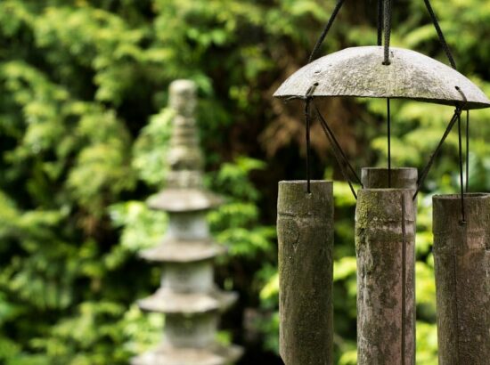 Comment créer un jardin Feng Shui ?