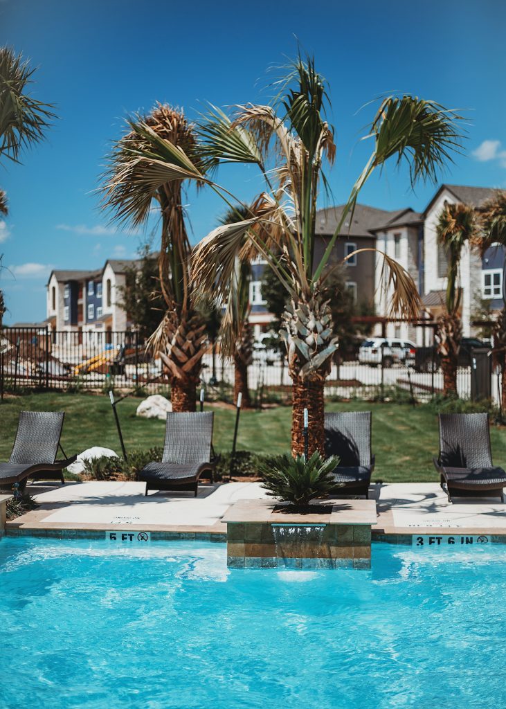 Piscine avec transats et palmiers